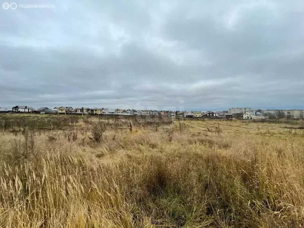 Участок в Ярославский муниципальный округ, деревня Малые Жарки, КП ... - Фото 1