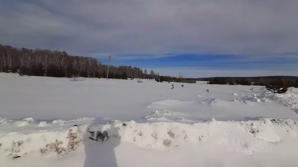 Участок в Челябинская область, Чебаркульский район, д. Сарафаново ... - Фото 0