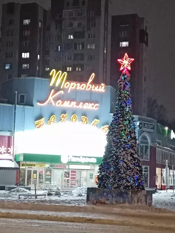 1-к кв. Ленинградская область, Выборг Ленинградское ш., 55 (40.0 м) - Фото 2