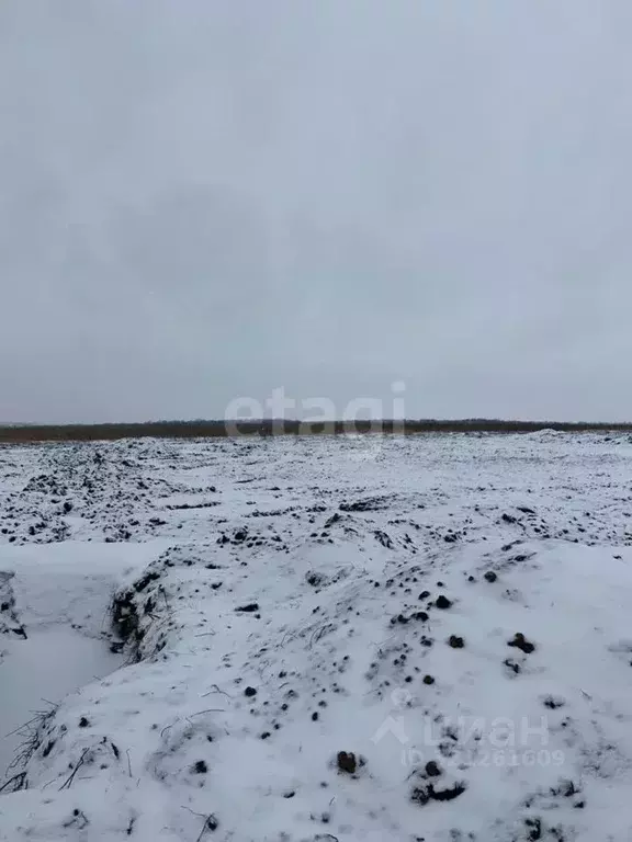 Участок в Белгородская область, Белгородский район, Головинское с/пос, ... - Фото 1