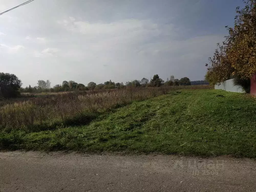 Участок в Калужская область, Дзержинский район, д. Рудня  (11.0 сот.) - Фото 2