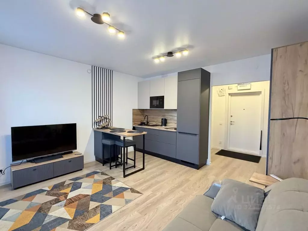 Студия Ленинградская область, Всеволожский район, д. Новое Девяткино ... - Фото 1