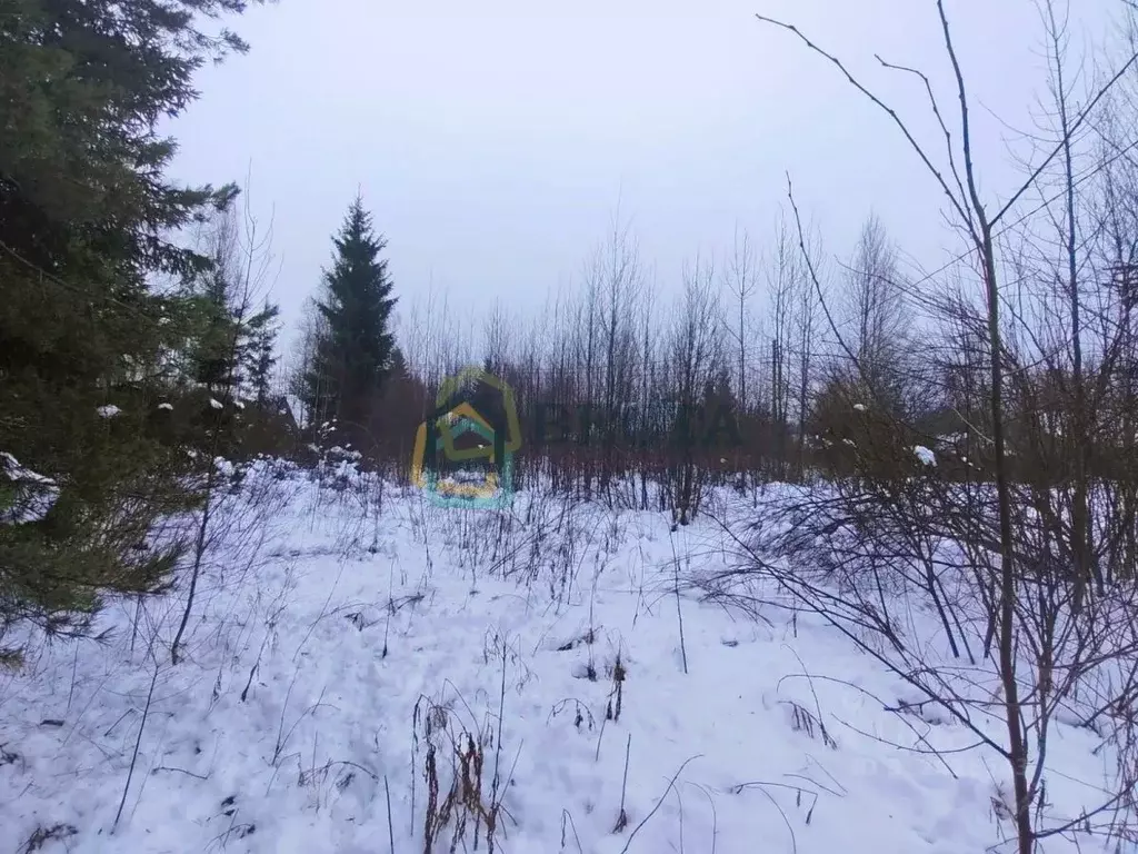 Участок в Ленинградская область, Выборгский район, Рощинское городское ... - Фото 1