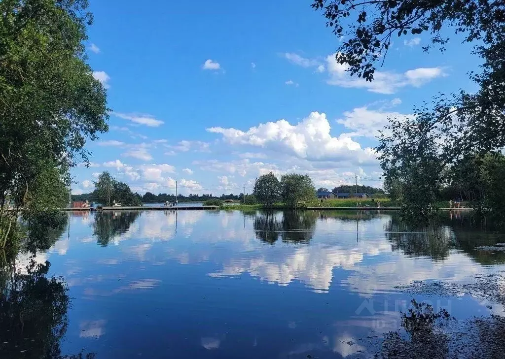 Участок в Ленинградская область, Ломоносовский район, Ропшинское ... - Фото 1
