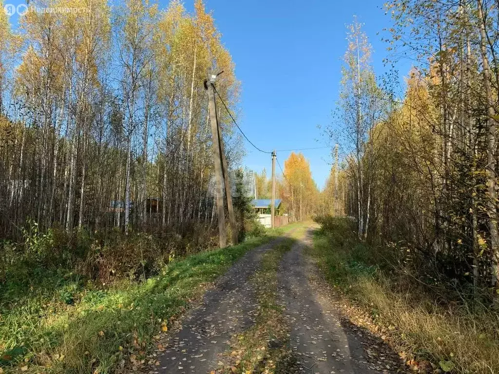 Участок в Республика Коми, муниципальный район Корткеросский, ... - Фото 0