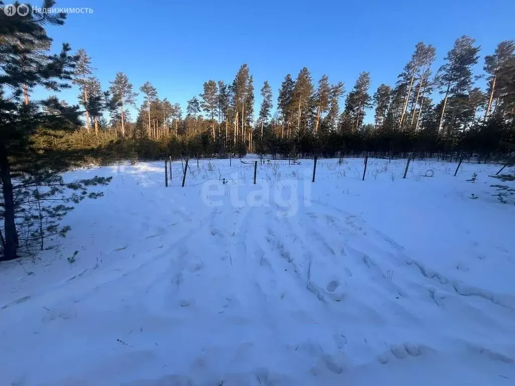 Участок в Читинский район, сельское поселение Смоленское, территория ... - Фото 2