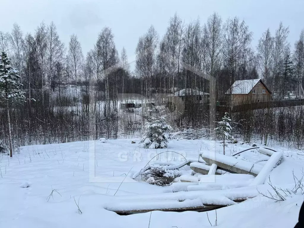 Участок в Ленинградская область, Всеволожский район, Колтушское ... - Фото 1