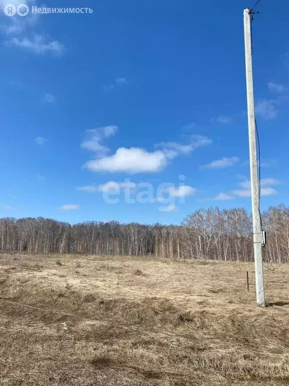 Участок в Кемеровский муниципальный округ, посёлок Кузбасский (15 м) - Фото 0