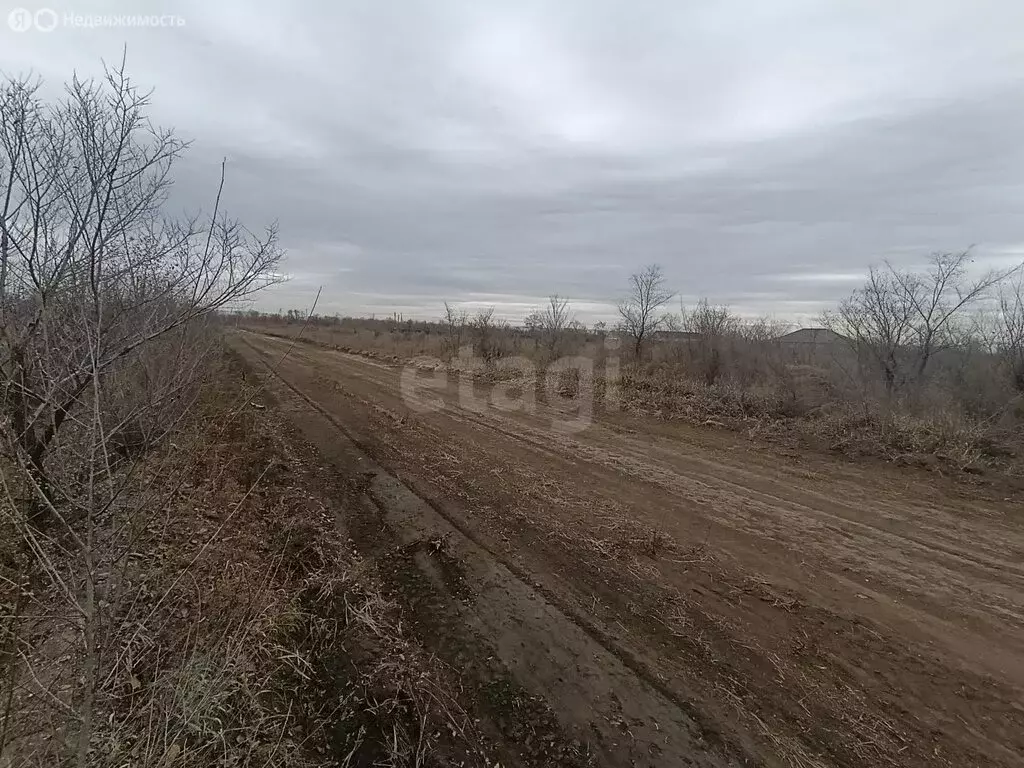 Участок в Усть-Абаканский район, село Зелёное (560 м) - Фото 1