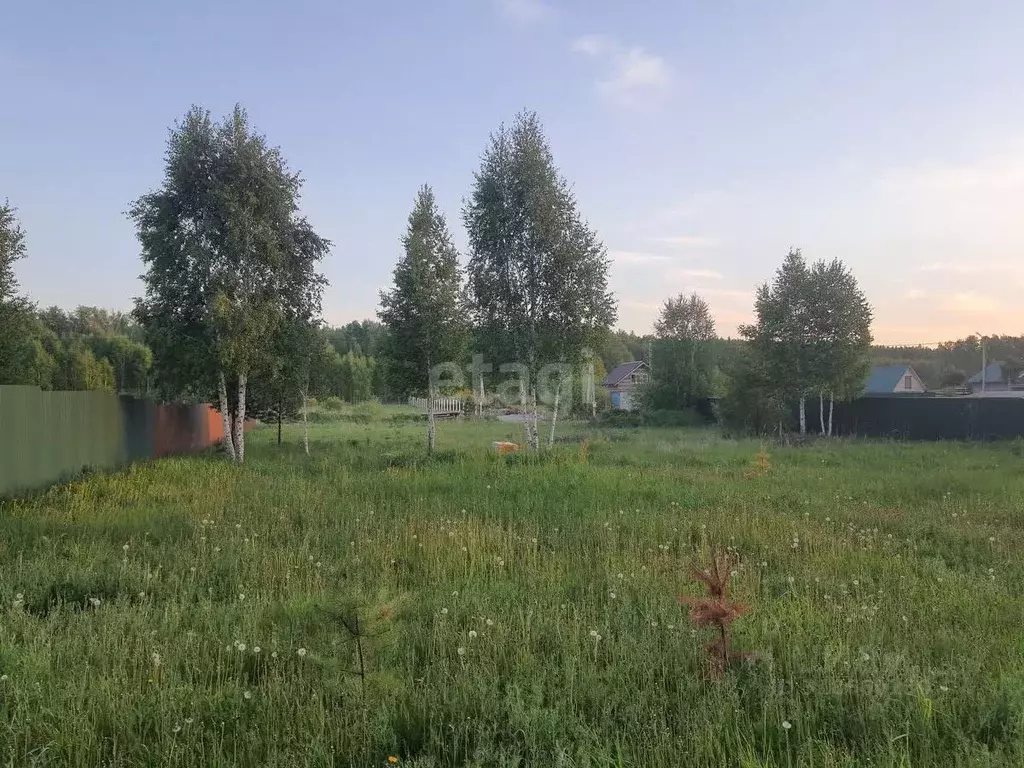 Участок в Свердловская область, Белоярский муниципальный округ, ... - Фото 1