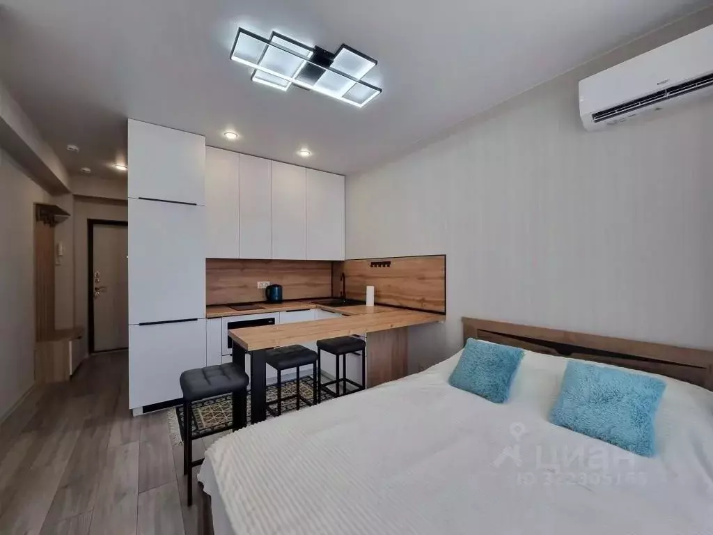 1-к кв. Краснодарский край, Сочи городской округ, Дагомыс пгт ул. ... - Фото 2