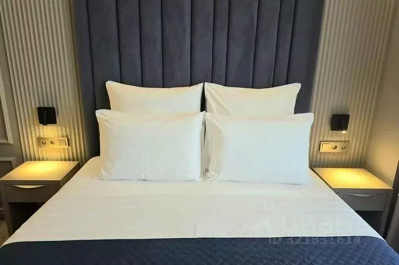 1-к кв. Краснодарский край, Сочи ул. Ленина, 217а (20.0 м) - Фото 2