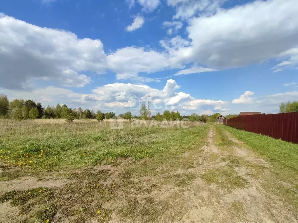 Участок в Московская область, Богородский городской округ, д. Тимково  ... - Фото 1