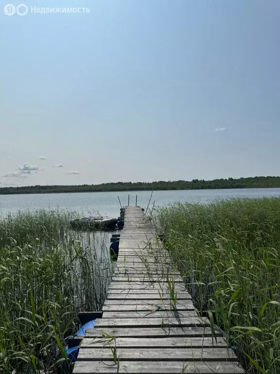 Участок в Выборгский район, Каменногорское городское поселение, СНТ ... - Фото 1