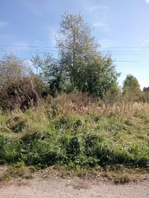 Продается участок в д. Летово - Фото 2