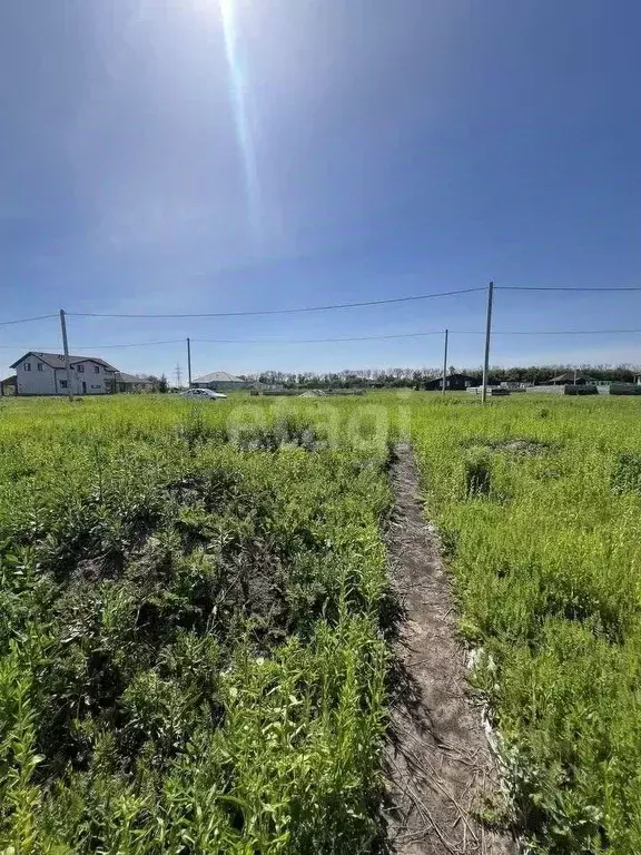 Участок в Белгородская область, Белгородский район, с. Стрелецкое ул. ... - Фото 0