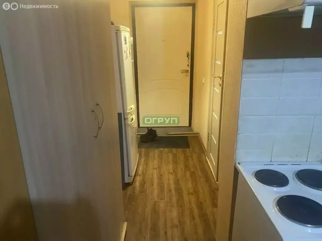 Квартира-студия: село Засечное, Светлая улица, 7 (28 м) - Фото 1