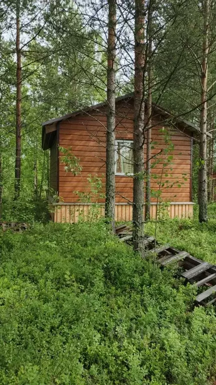 Дом в Архангельская область, Приморский муниципальный округ, д. ... - Фото 1