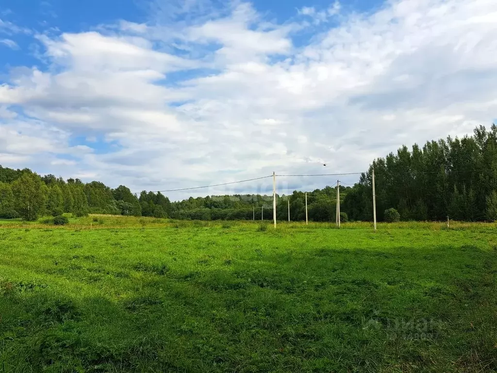 Купить Земельный Участок В Бору