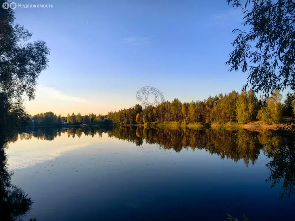 Участок в Богородский городской округ, СНТ Отдых (рабочий посёлок ... - Фото 0