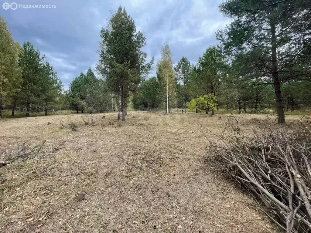 Участок в Морозово, Сосновая улица (15 м) - Фото 2