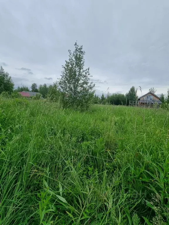 Участок в Вологодская область, Череповец Якунинская ул., 28А (8.0 ... - Фото 0
