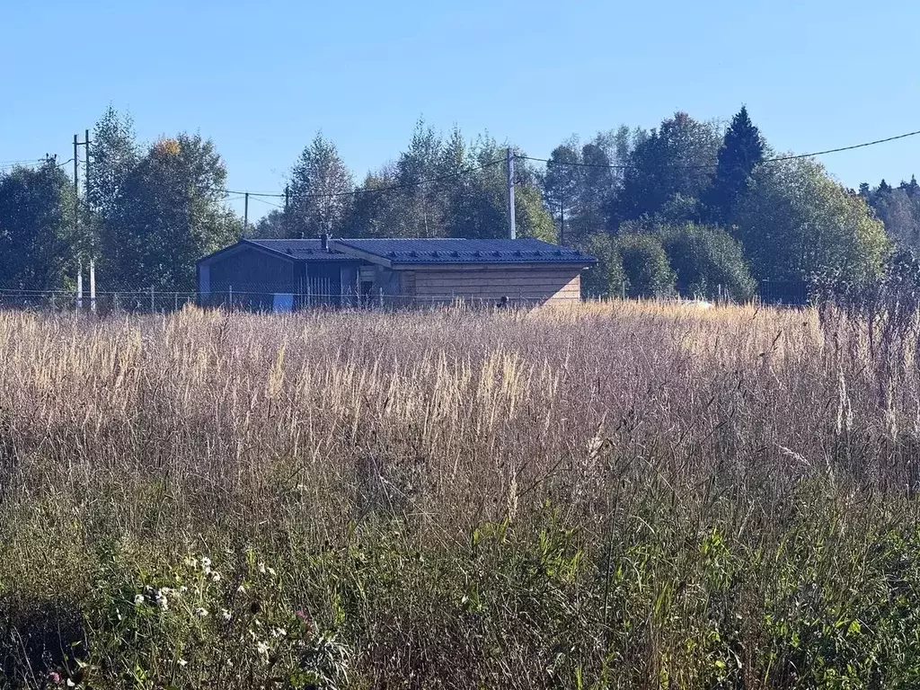 Участок в Московская область, Дмитровский муниципальный округ, ... - Фото 1