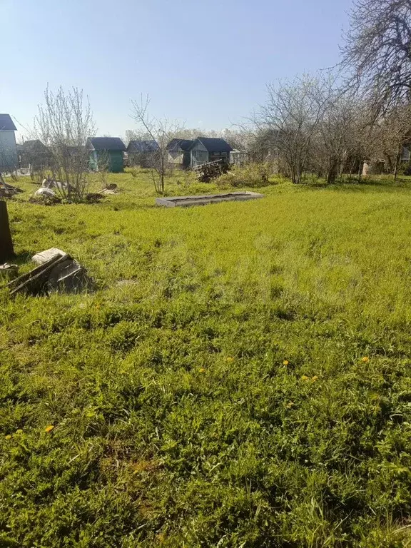 Участок 3 сот. (СНТ, ДНП) - Фото 1