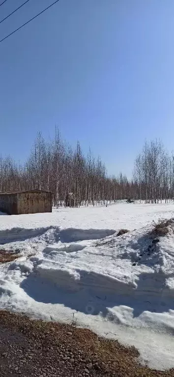 Участок в Кемеровская область, Кемеровский муниципальный округ, с. ... - Фото 0
