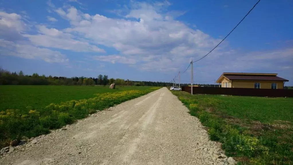 Участок в Ленинградская область, Волосовский район, Клопицкое с/пос, ... - Фото 1