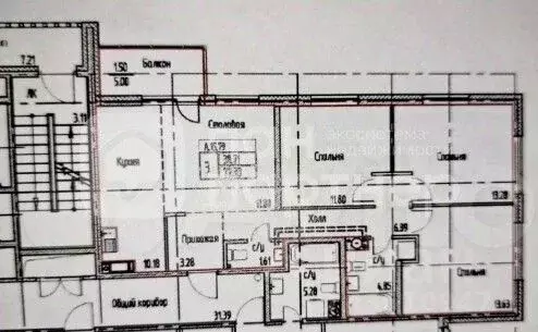 3-к кв. Санкт-Петербург ул. Дыбенко, 8к1 (78.4 м) - Фото 1