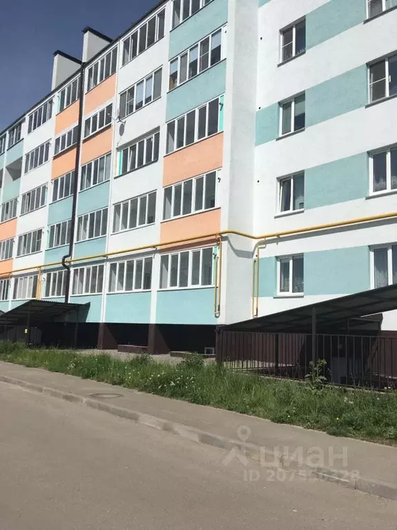 1-к кв. Нижегородская область, Городец Республиканская ул., 95 (58.0 ... - Фото 0