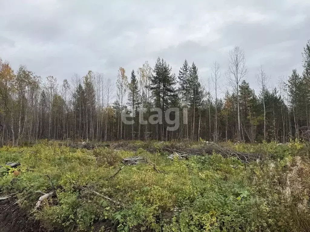 Участок в Архангельская область, Приморский муниципальный округ, д. ... - Фото 2
