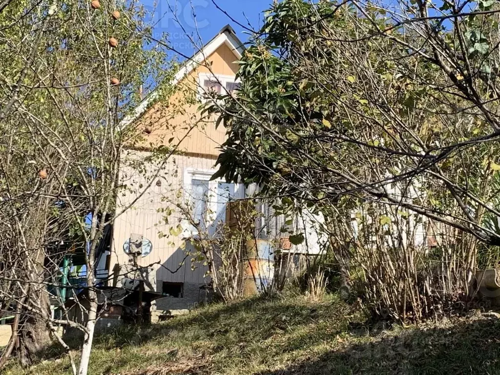 Дом в Краснодарский край, Сочи городской округ, с. Прогресс ул. ... - Фото 1