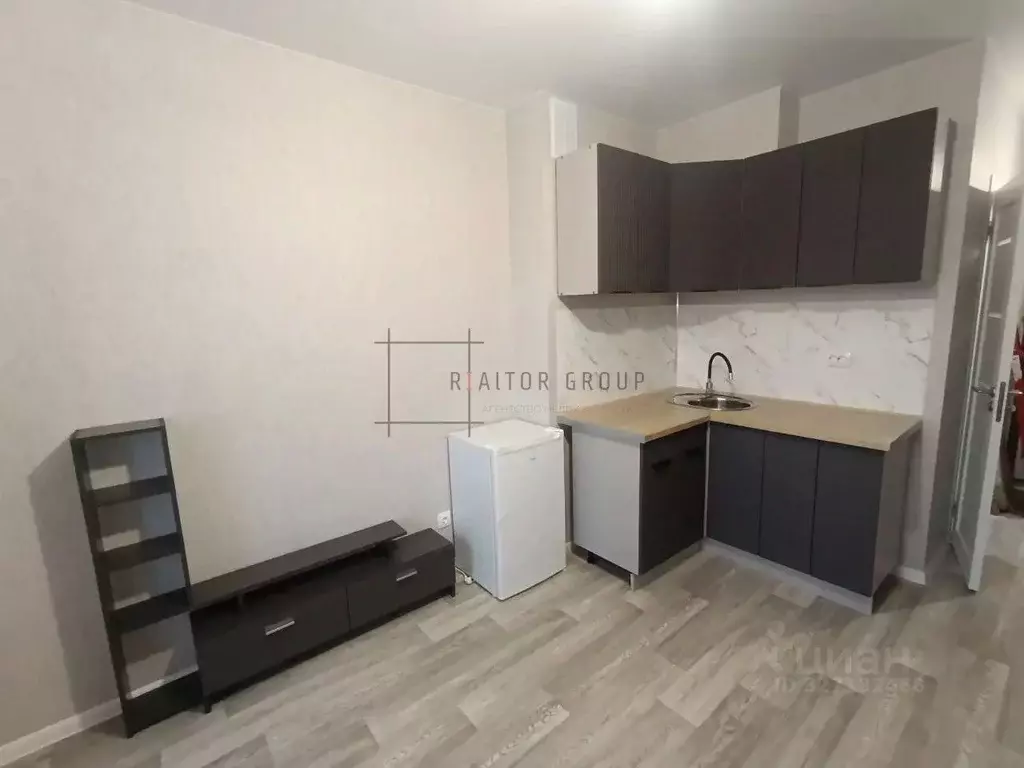 Студия Новосибирская область, Новосибирский район, Станционный ... - Фото 2