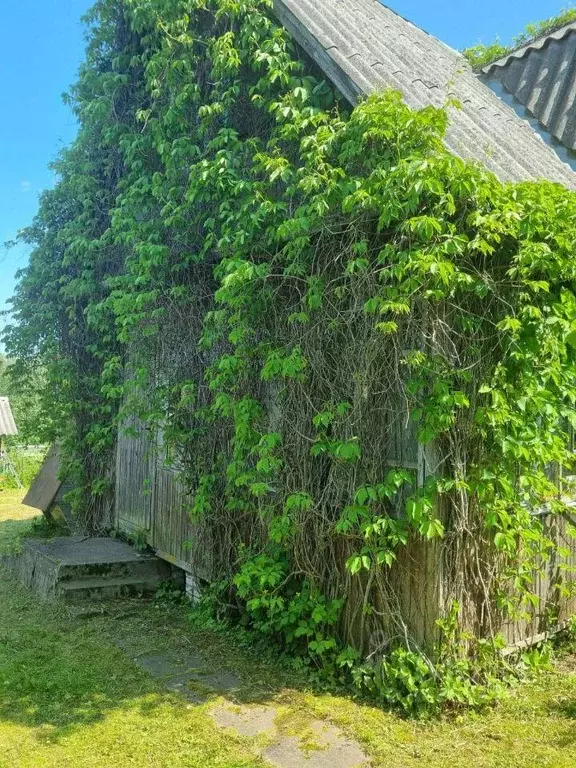 Дом, 48.5 м - Фото 2