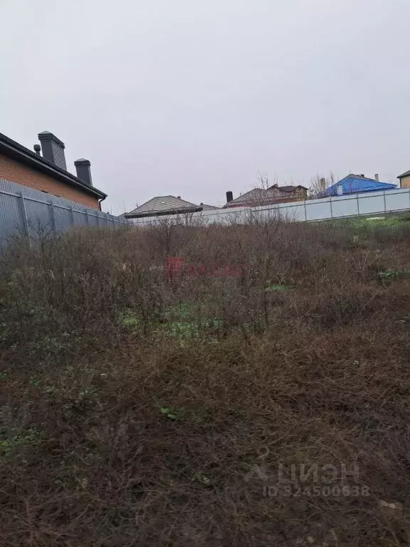 Участок в Ростовская область, Мясниковский район, Краснокрымское ... - Фото 2