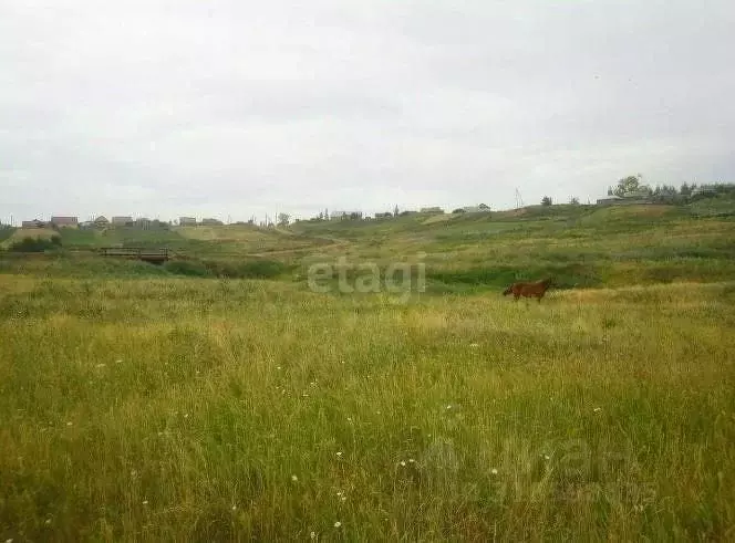 Участок в Башкортостан, Чишминский район, Ибрагимовский сельсовет, с. ... - Фото 2