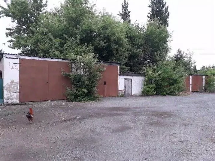 Гараж в Липецкая область, с. Волово ул. Пролетарская, 9 (41 м) - Фото 1