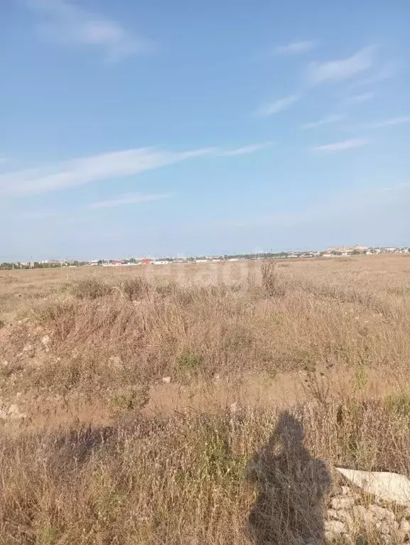 Участок в Крым, Сакский район, с. Суворовское ул. Молодежная (318.1 ... - Фото 1