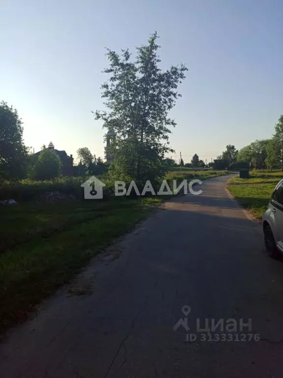 Участок в Владимирская область, Суздальский район, Селецкое ... - Фото 2