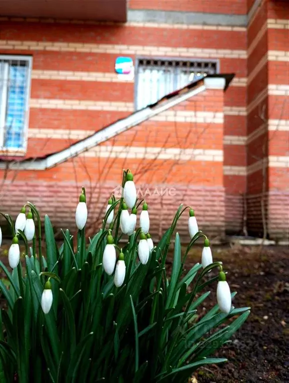 Помещение свободного назначения в Московская область, Красногорск ... - Фото 2