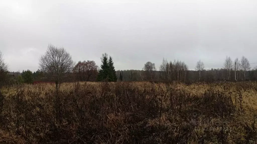 Участок в Московская область, Можайский муниципальный округ, д. ... - Фото 1