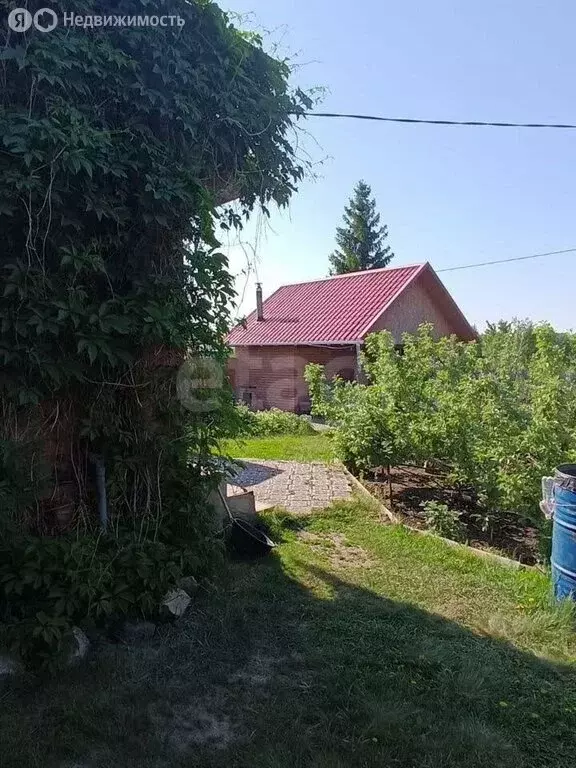 Участок в муниципальный округ Омский район, СНТ Шинник (10 м) - Фото 1