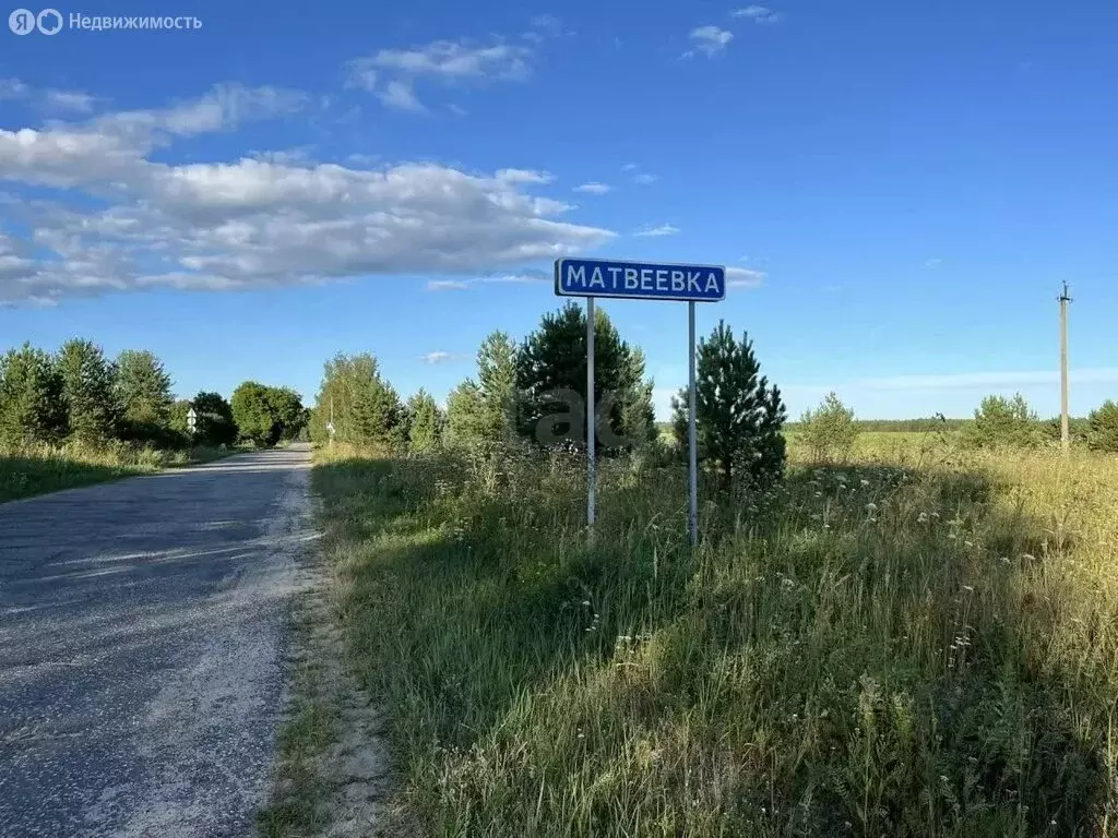 Участок в Владимирская область, Селивановский муниципальный округ, ... - Фото 1