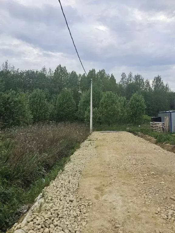 Участок в Ленинградская область, Гатчинский район, Марьины дачи кп  ... - Фото 1