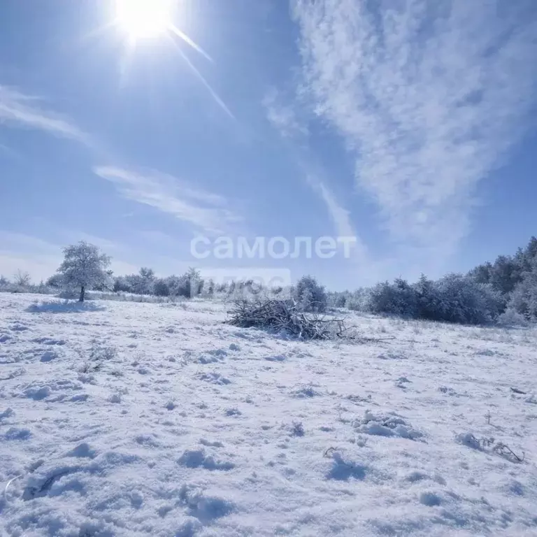 Участок в Курская область, Курский район, Пашковский сельсовет, Биолог ... - Фото 1