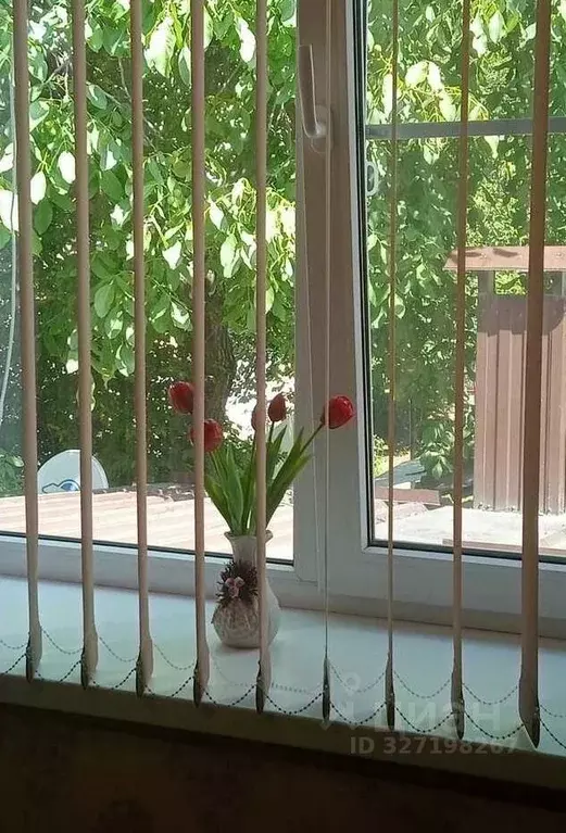 Студия Ставропольский край, Пятигорск ул. Мира, 6 (15.0 м) - Фото 2