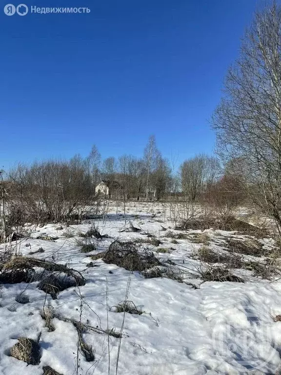 Участок в Дзержинское сельское поселение, садоводческое некоммерческое ... - Фото 2