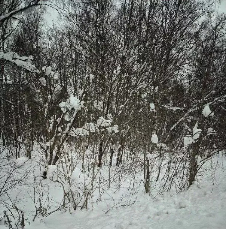 Участок в Московская область, Истра ул. Ленина, Река Истра (10.71 ... - Фото 1